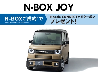 N-BOX JOY